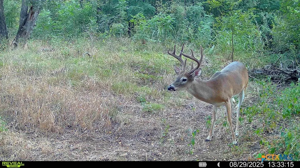 Mclennan Road Troy, TX 76579