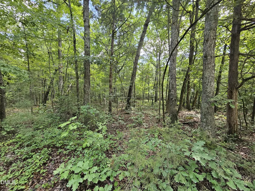 625 Harts Creek Drive Pittsboro, NC 27312
