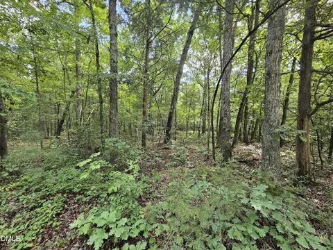 625 Harts Creek Drive
