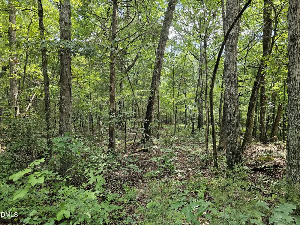 625 Harts Creek Drive Pittsboro, NC 27312