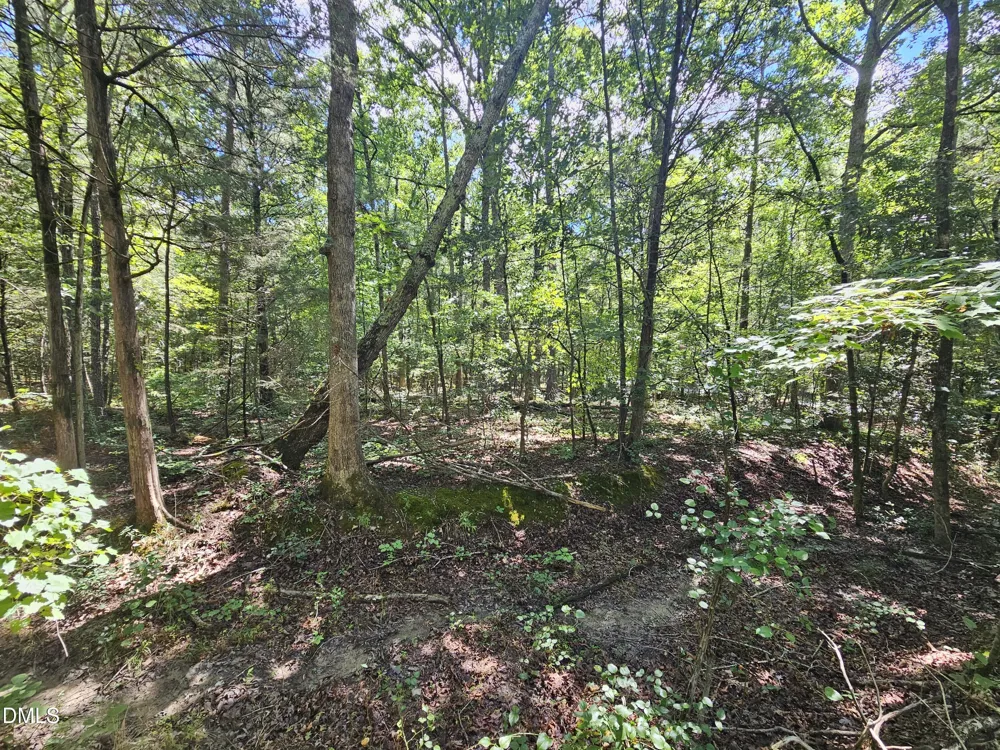 625 Harts Creek Drive Pittsboro, NC 27312
