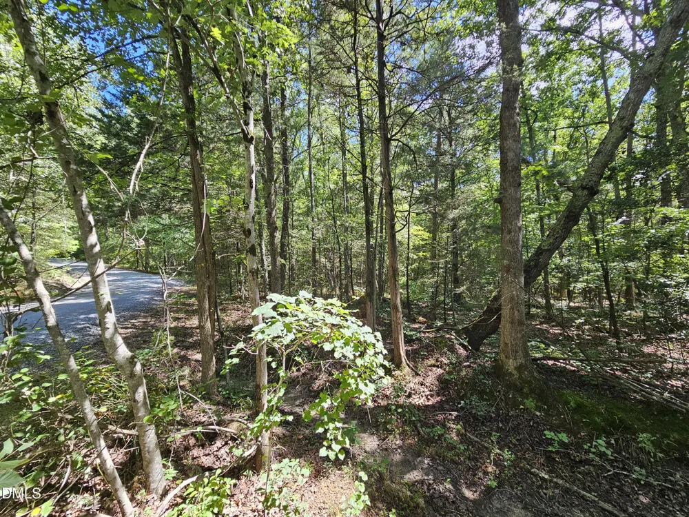 625 Harts Creek Drive Pittsboro, NC 27312