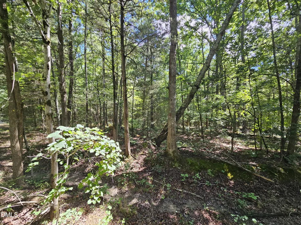 625 Harts Creek Drive Pittsboro, NC 27312