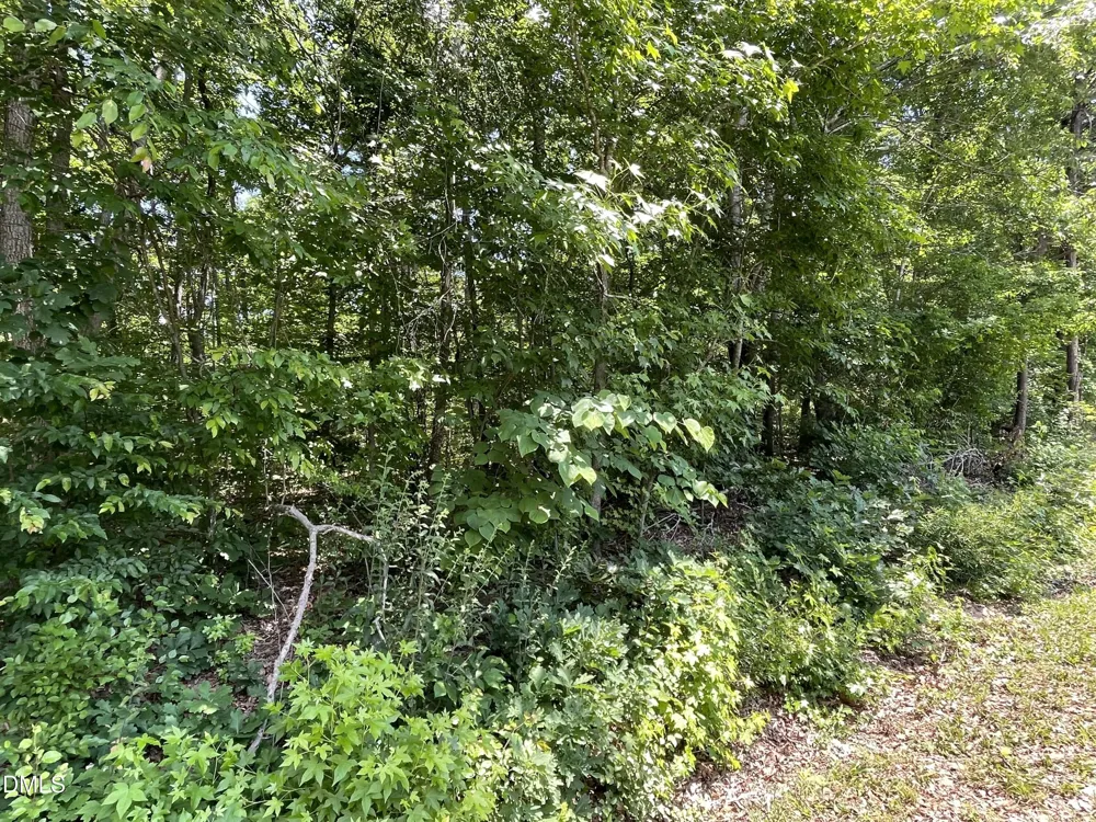 0000-2 Shady Lane Burlington, NC 27217