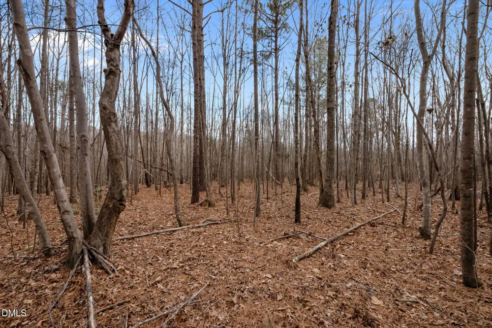 10.75 Acre Neal's Store Road Roxboro, NC 27574