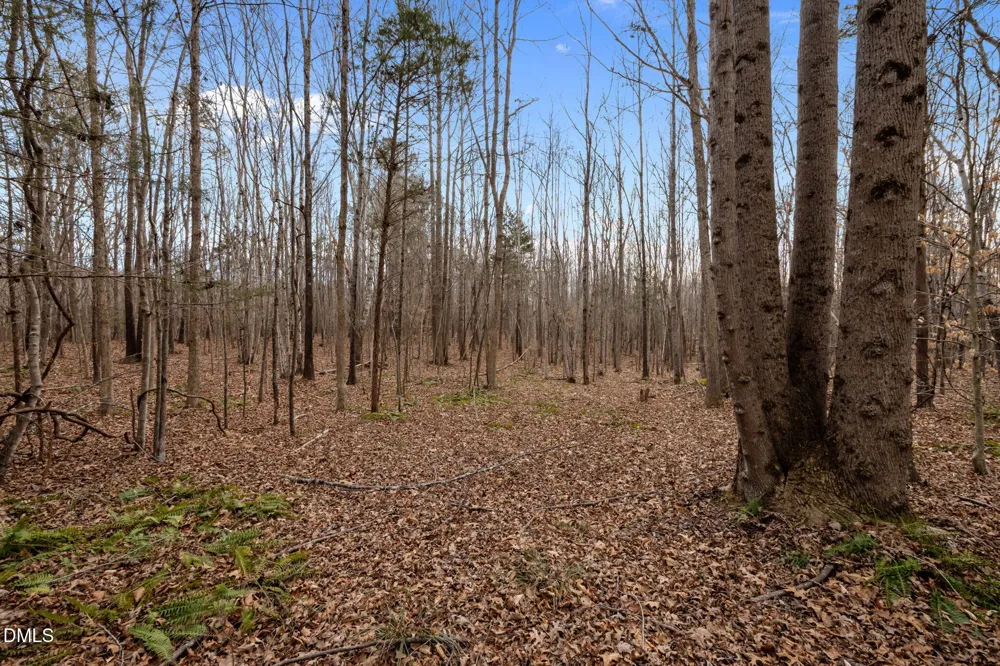 10.75 Acre Neal's Store Road Roxboro, NC 27574