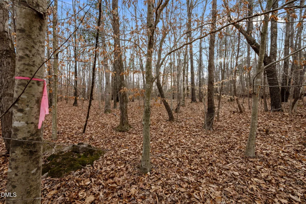 10.75 Acre Neal's Store Road Roxboro, NC 27574