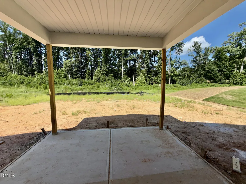 240 Buckthorn Drive Youngsville, NC 27596