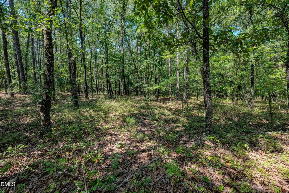 0 Us-421 Lillington, NC 27546