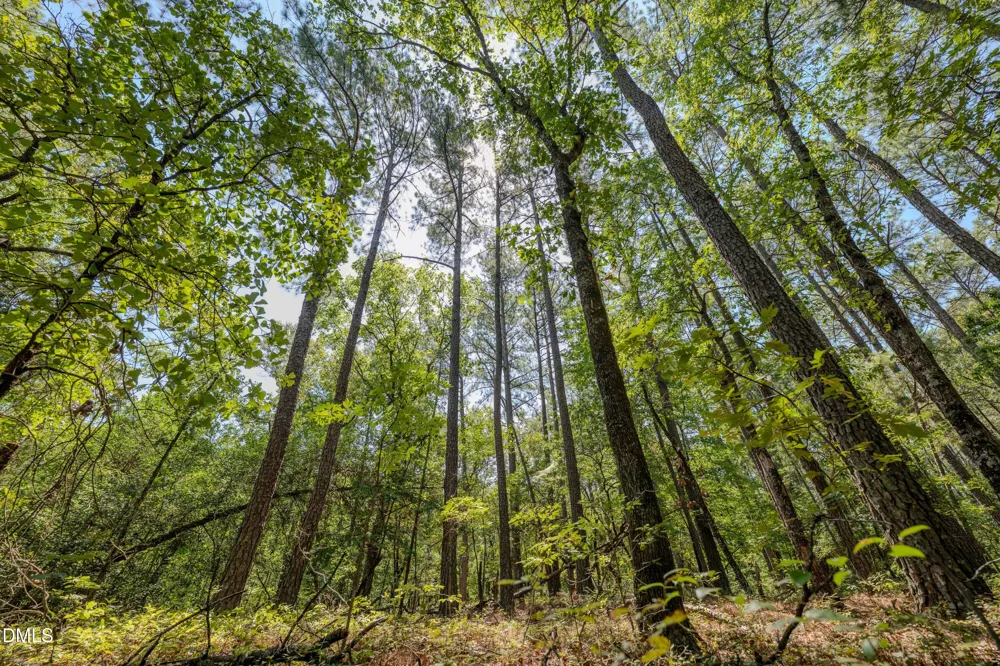 0 Us-421 Lillington, NC 27546