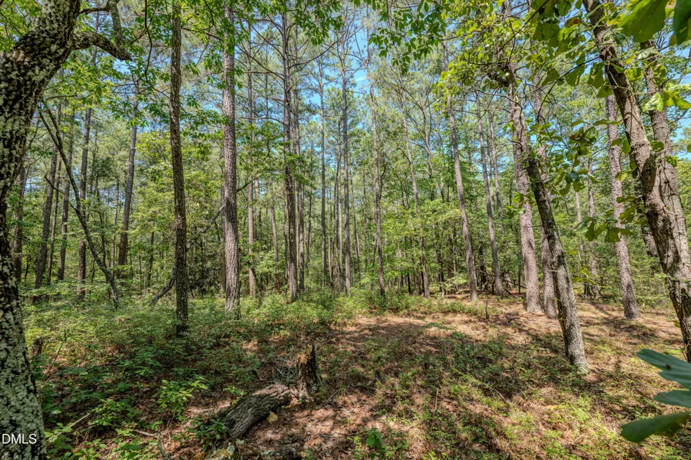 0 Us-421 Lillington, NC 27546