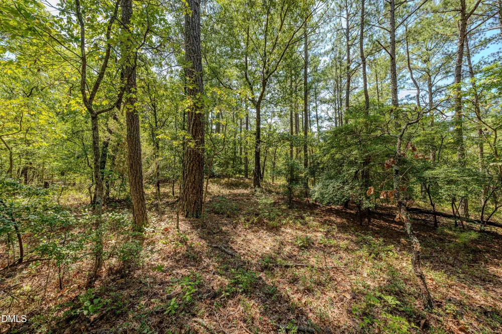 0 Us-421 Lillington, NC 27546