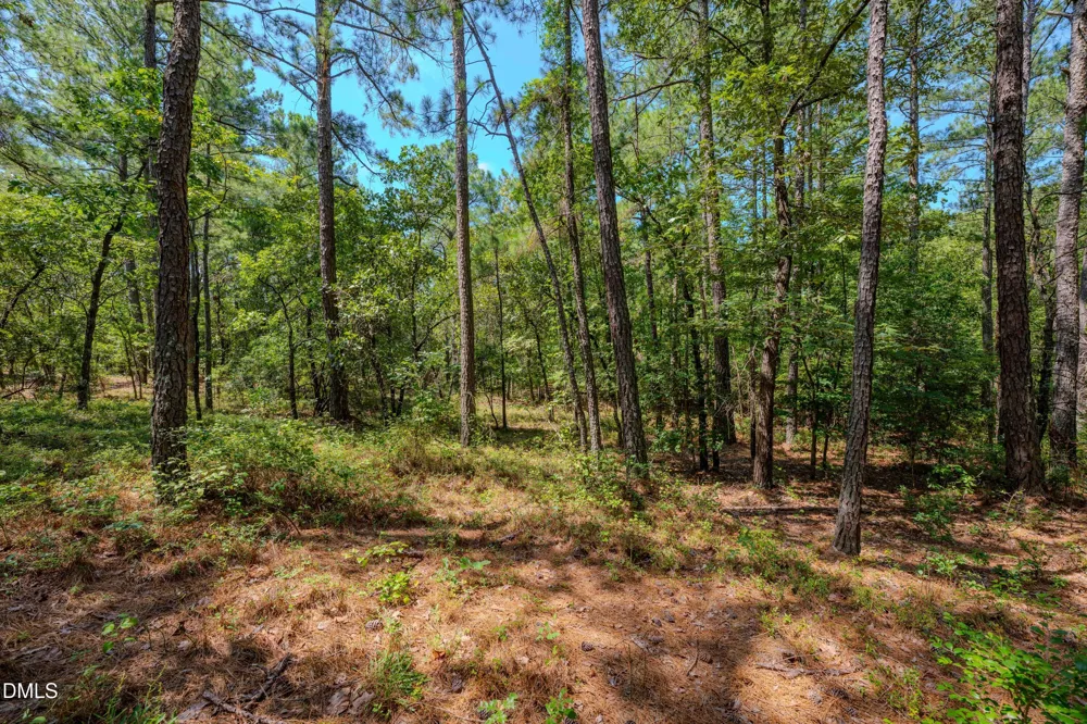 0 Us-421 Lillington, NC 27546