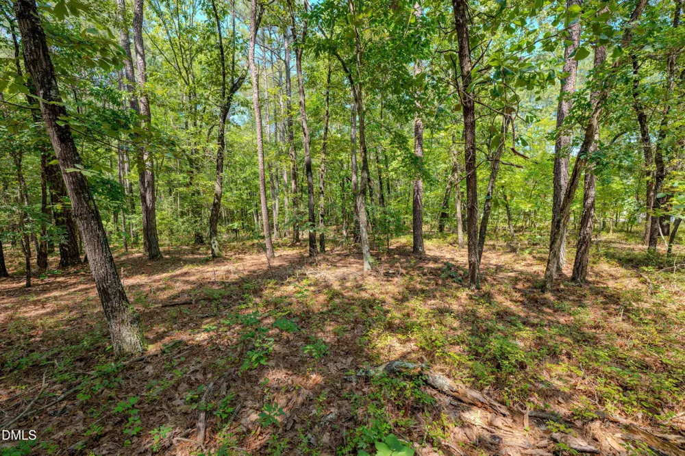 0 Us-421 Lillington, NC 27546