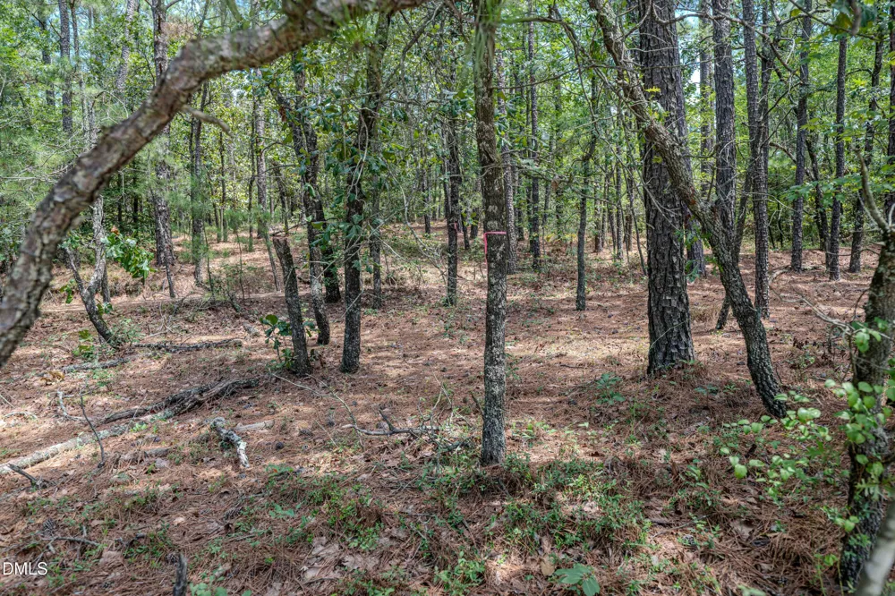0 Us-421 Lillington, NC 27546