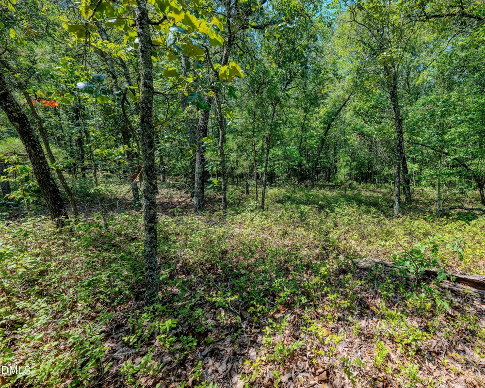 0 Us-421 Lillington, NC 27546