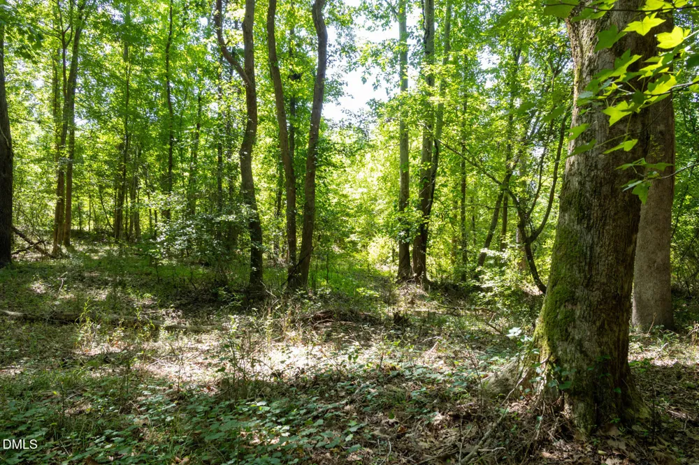 3132 Walters Road Creedmoor, NC 27522