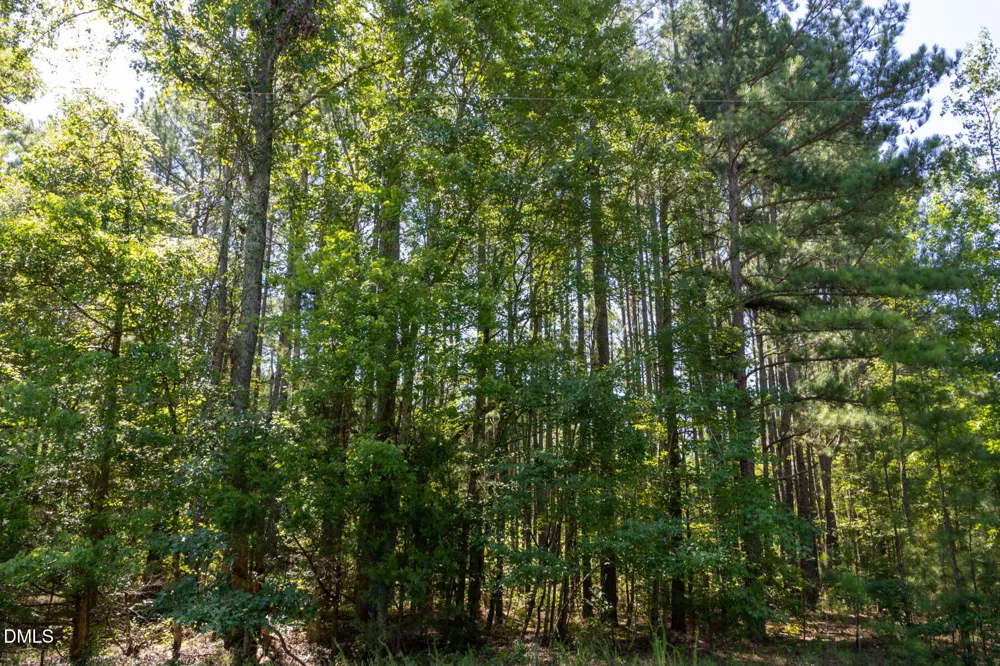 3132 Walters Road Creedmoor, NC 27522