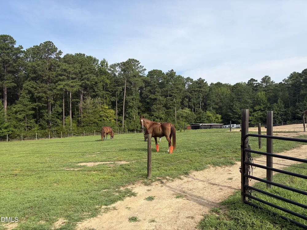 275 Hickory Trace Lane Durham, NC 27713