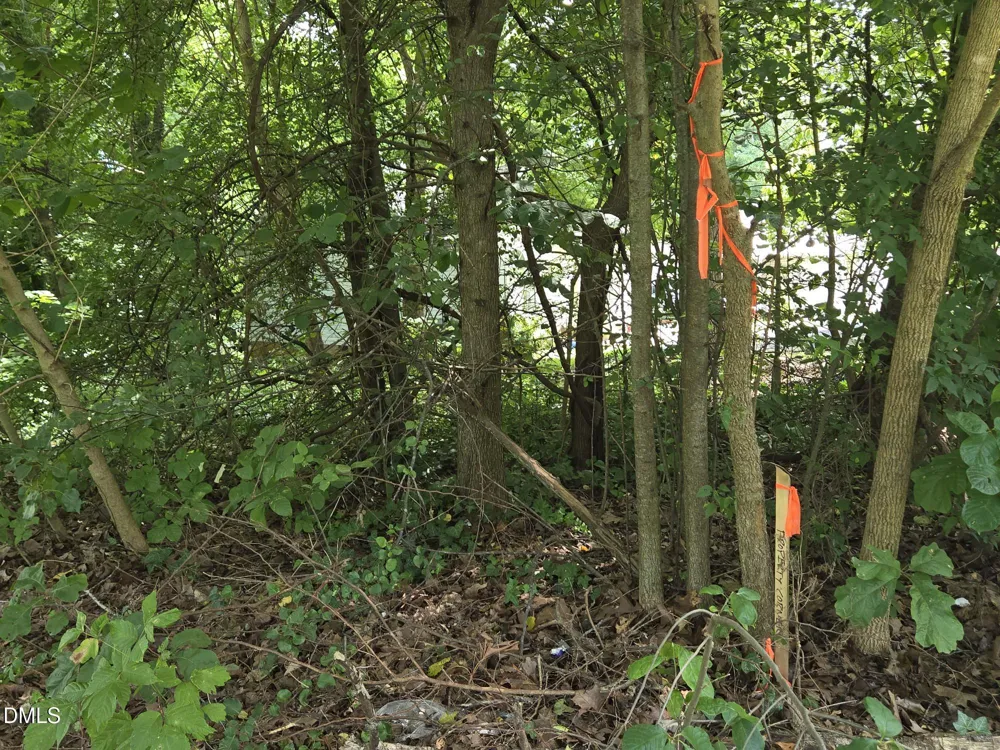 00 Maple Avenue Burlington, NC 27215