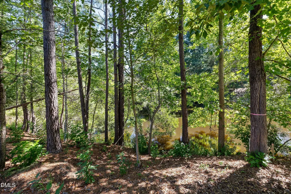22005 Turner Chapel Hill, NC 27517