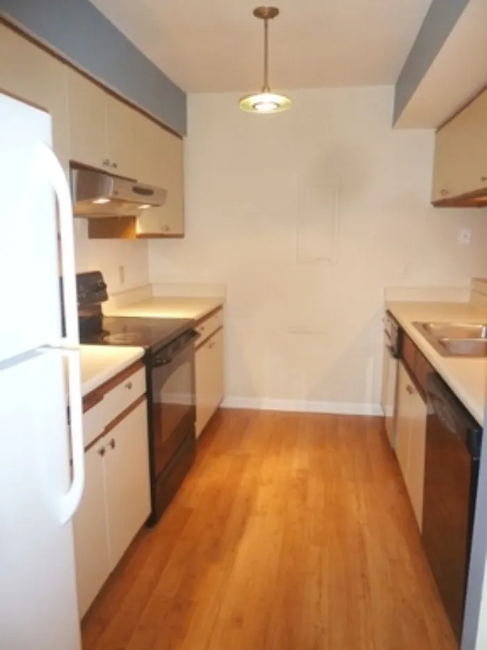 254 Brookberry Circle Chapel Hill, NC 27517