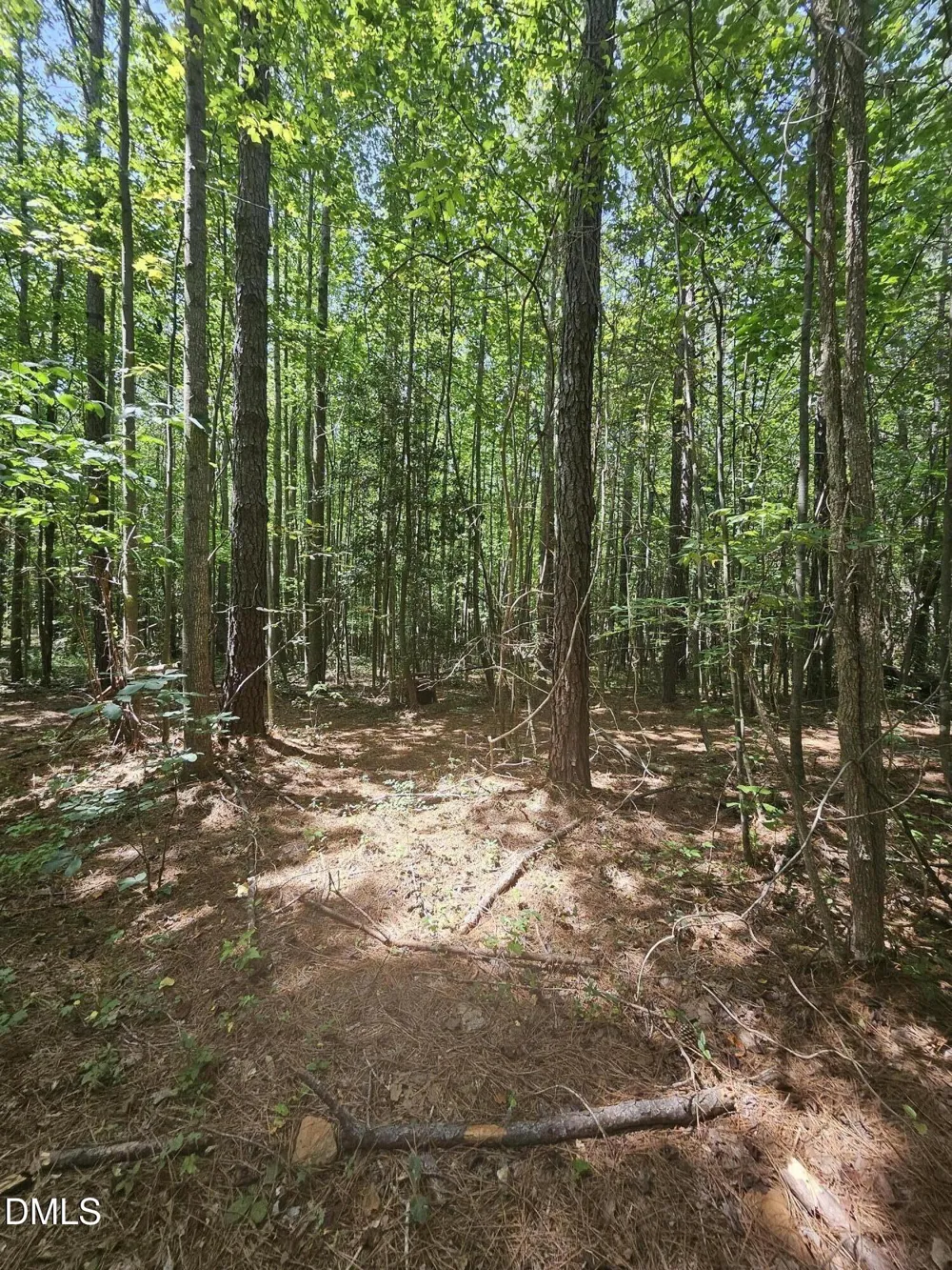 0 Crowder Road Castalia, NC 27816