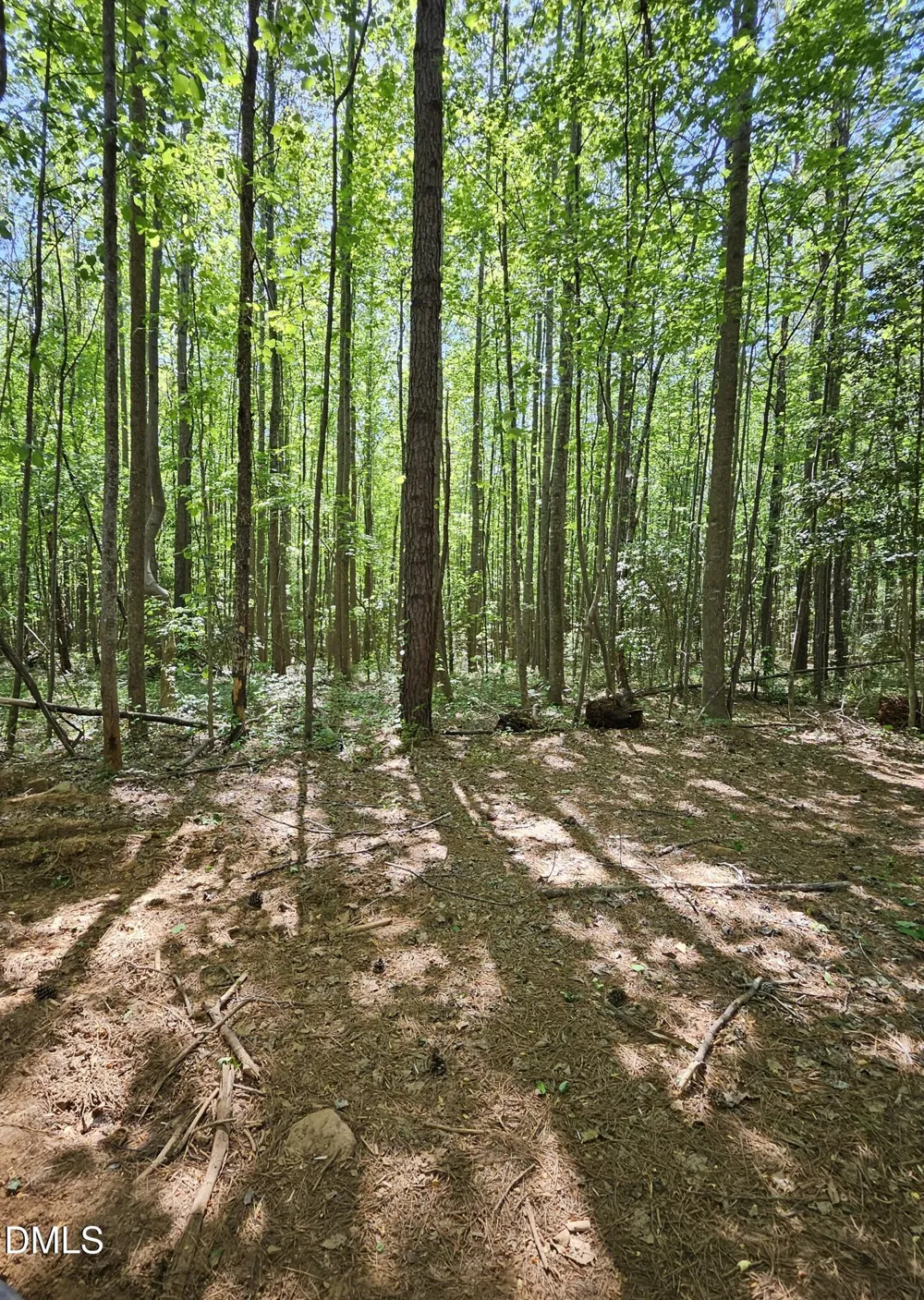 0 Crowder Road Castalia, NC 27816