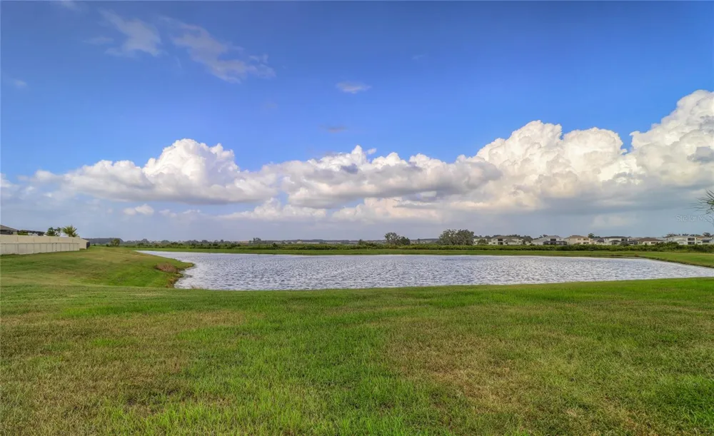 8694 PARSONS HILL BOULEVARD Wesley Chapel, FL 33545