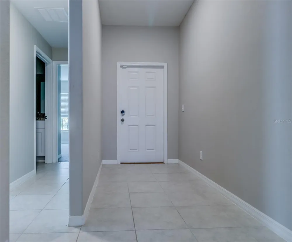 8694 PARSONS HILL BOULEVARD Wesley Chapel, FL 33545