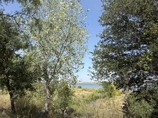 10074 County Road 200 Breckenridge, TX 76424