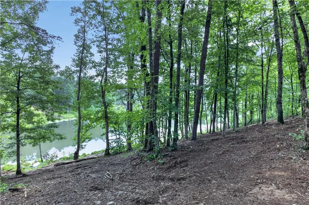 188 Pinnacle Drive Ellijay, GA 30540