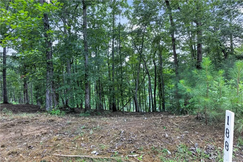 188 Pinnacle Drive Ellijay, GA 30540