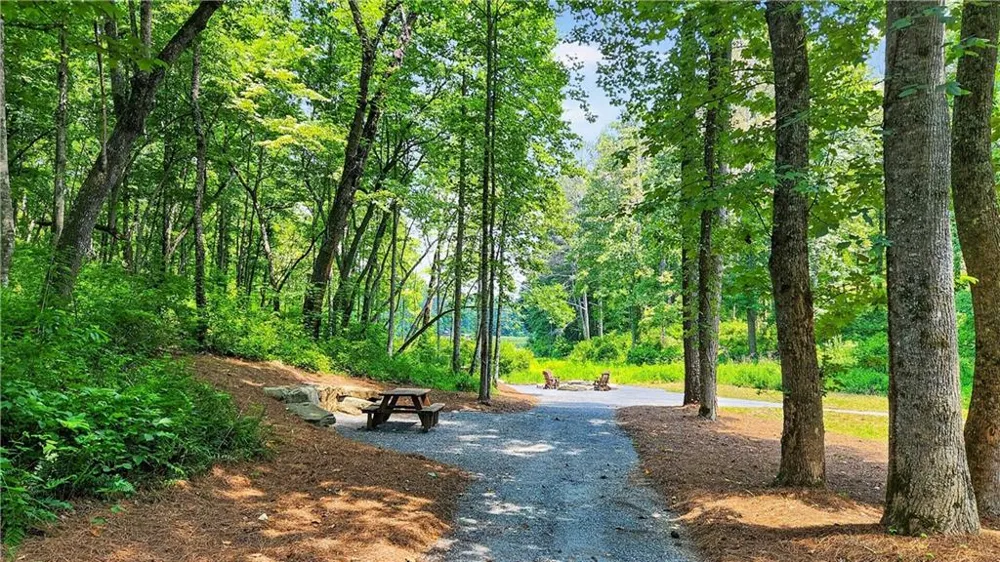 188 Pinnacle Drive Ellijay, GA 30540