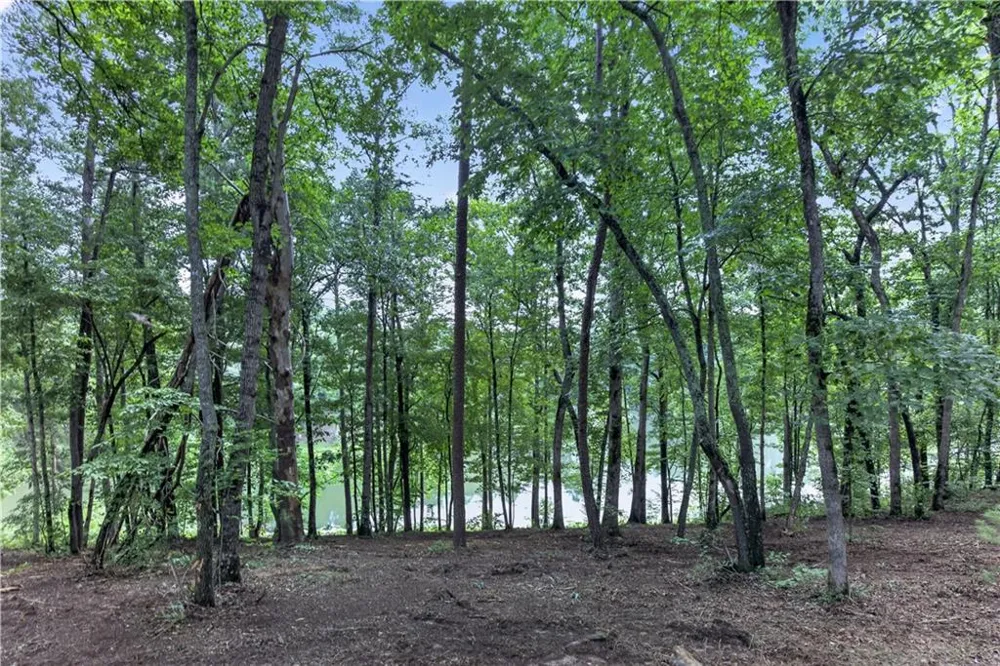 188 Pinnacle Drive Ellijay, GA 30540