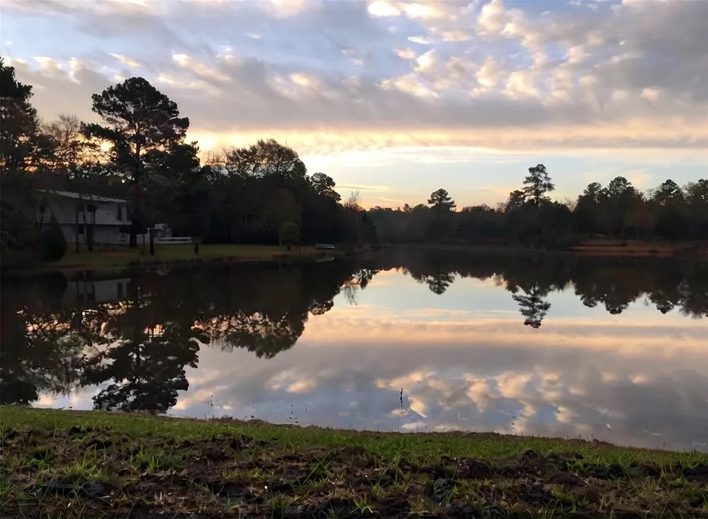 17338 Park View Drive Hempstead, TX 77445