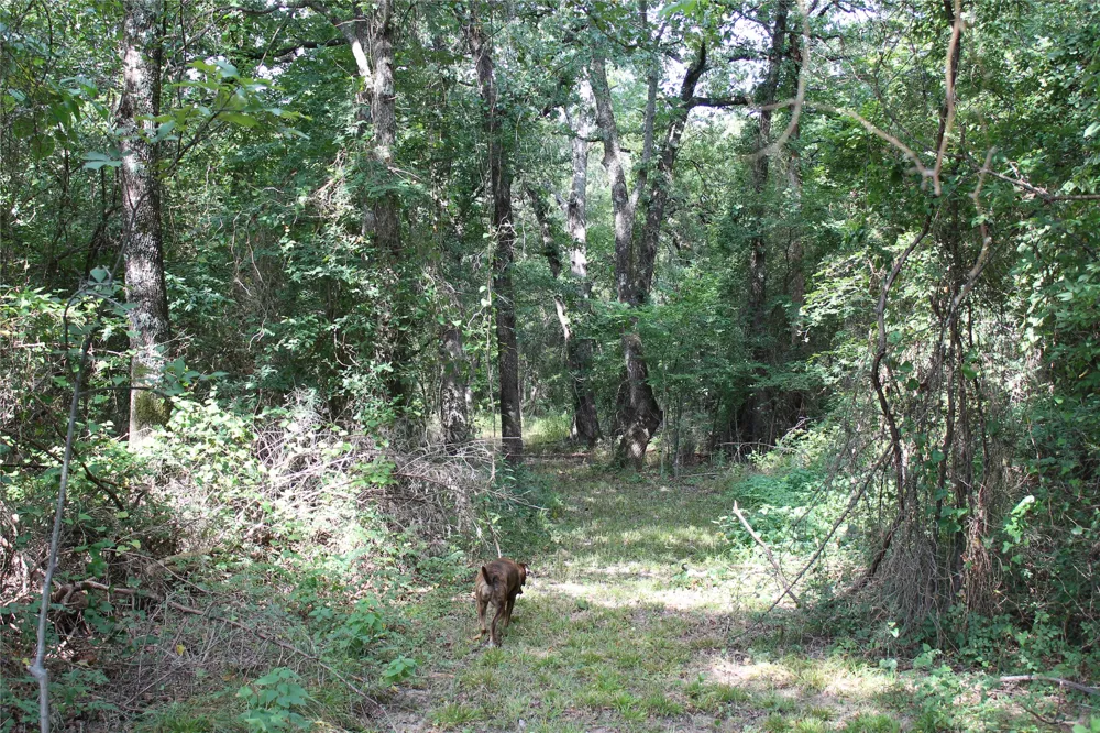 422806 E 1150 Eufaula, OK 74432