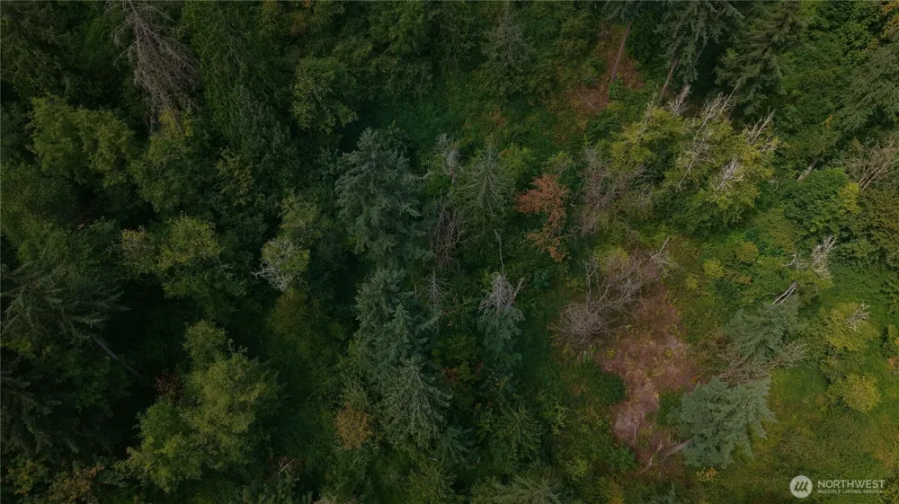 0 128th Avenue E Edgewood, WA 98372