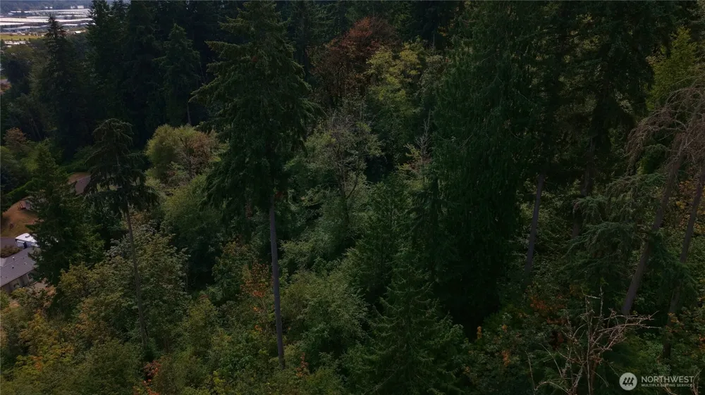 0 128th Avenue E Edgewood, WA 98372