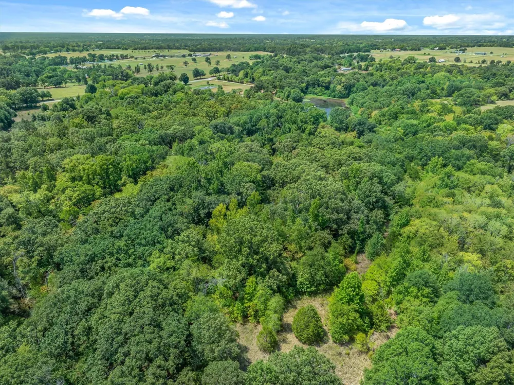 8086 FM 17 Grand Saline, TX 75140