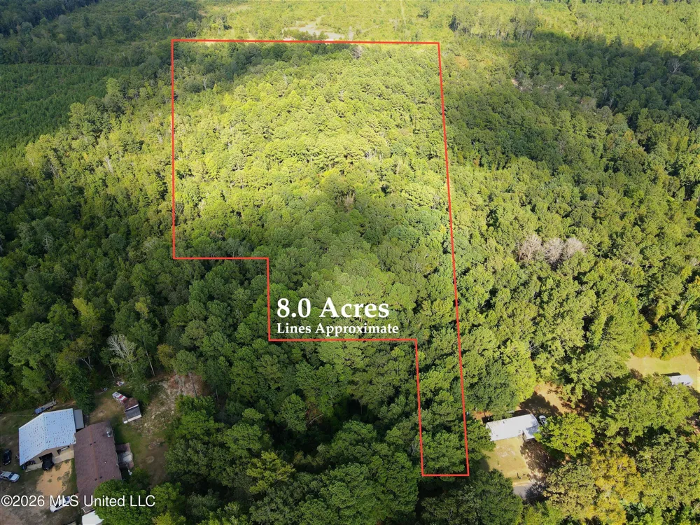Blanchard Lane Silver Creek, MS 39663