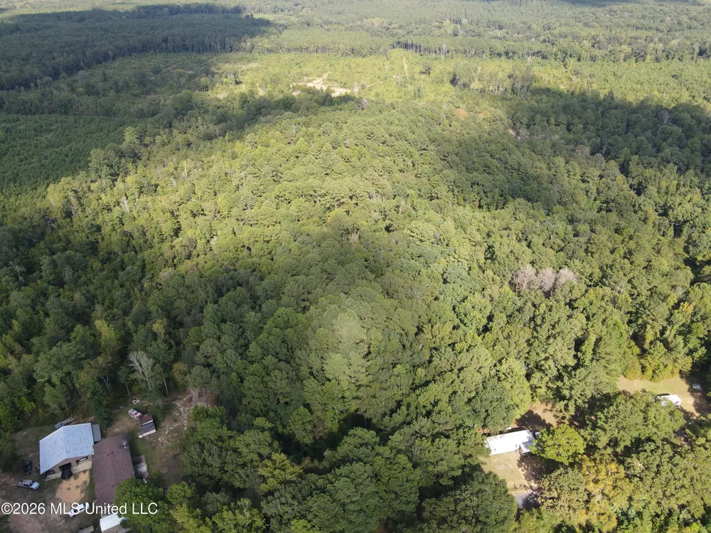 Blanchard Lane Silver Creek, MS 39663