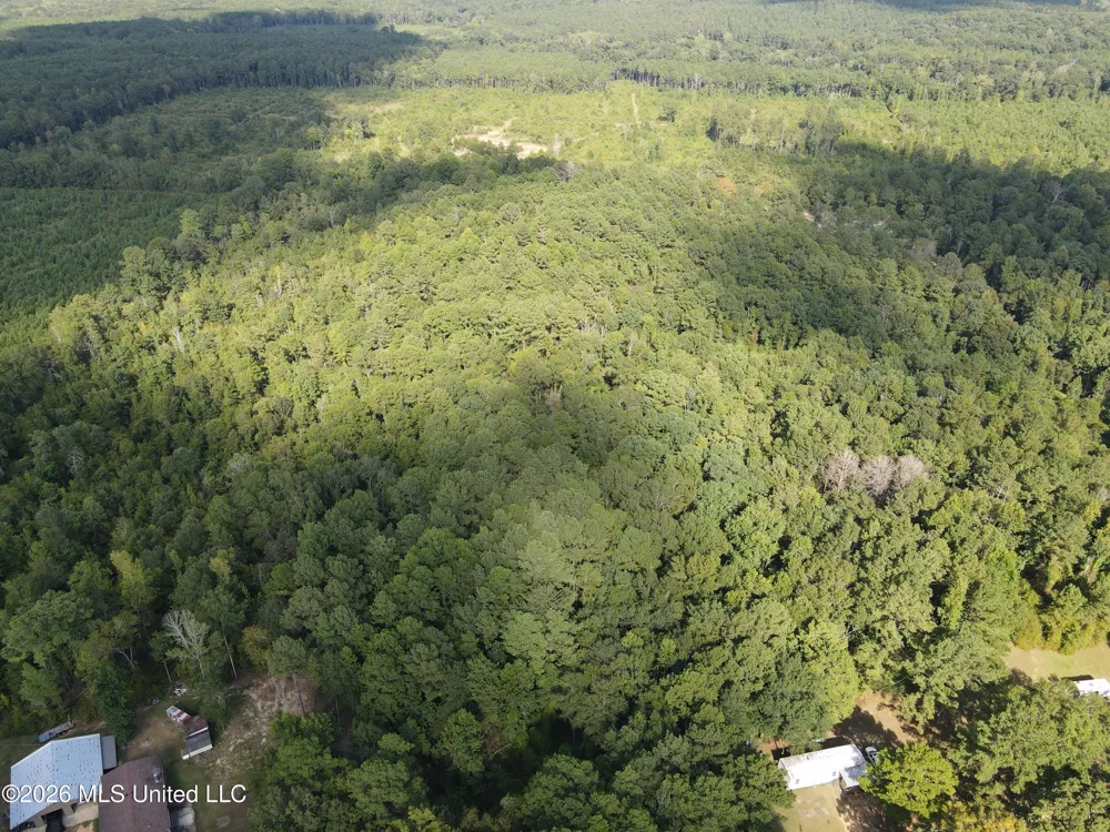 Blanchard Lane Silver Creek, MS 39663
