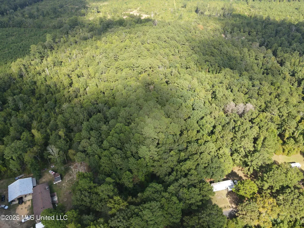 Blanchard Lane Silver Creek, MS 39663