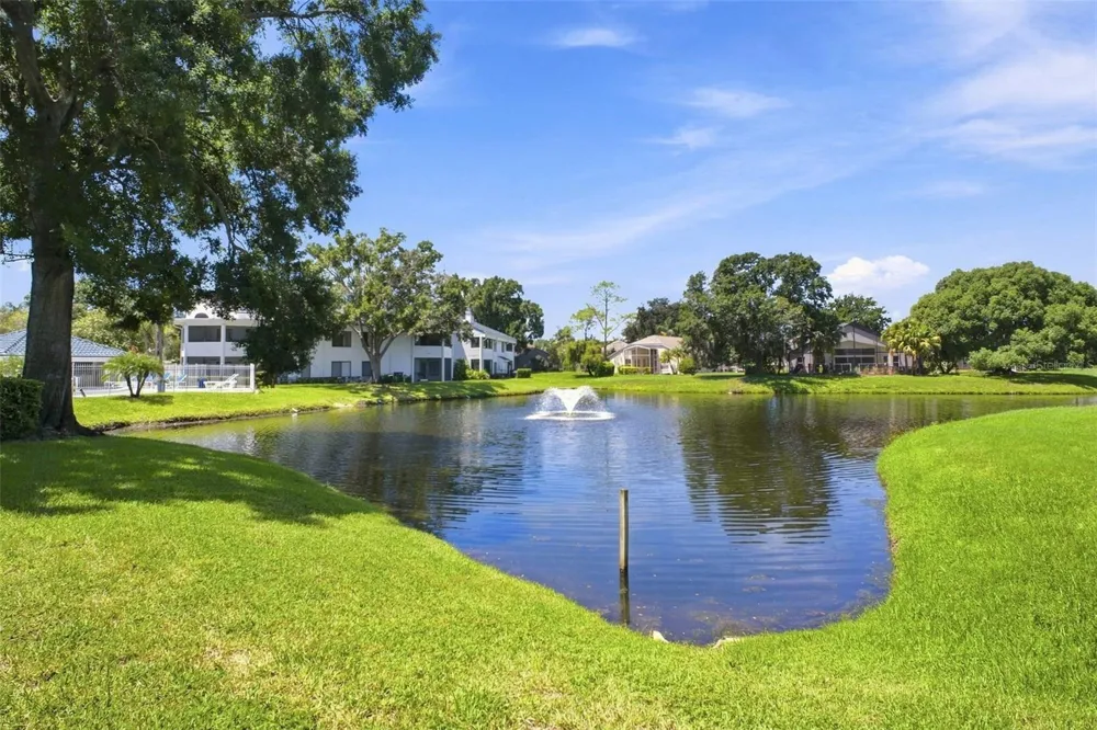 3588 INDIGO POND DRIVE #12 Palm Harbor, FL 34685