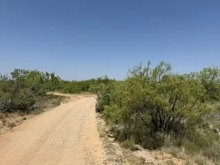 C R 195 Moran, TX 76424