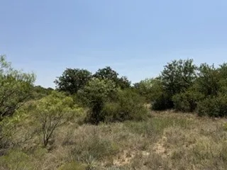C R 195 Moran, TX 76424