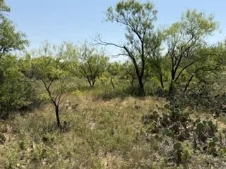 C R 195 Moran, TX 76424