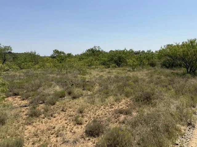 C R 195 Moran, TX 76424