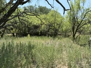 C R 195 Moran, TX 76424